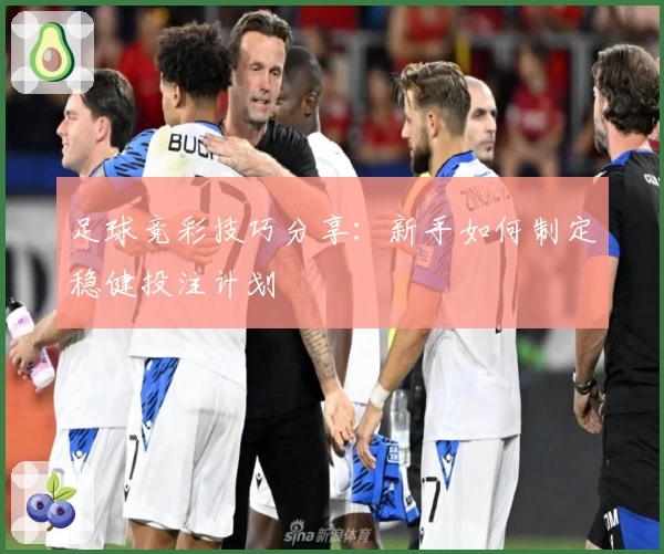 足球竞彩技巧分享：新手如何制定稳健投注计划