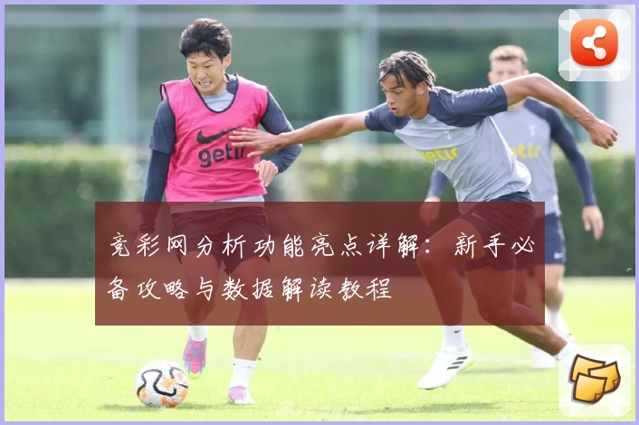 竞彩网分析功能亮点详解：新手必备攻略与数据解读教程