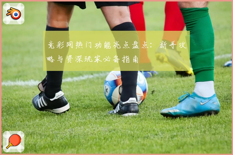 竞彩网热门功能亮点盘点：新手攻略与资深玩家必备指南