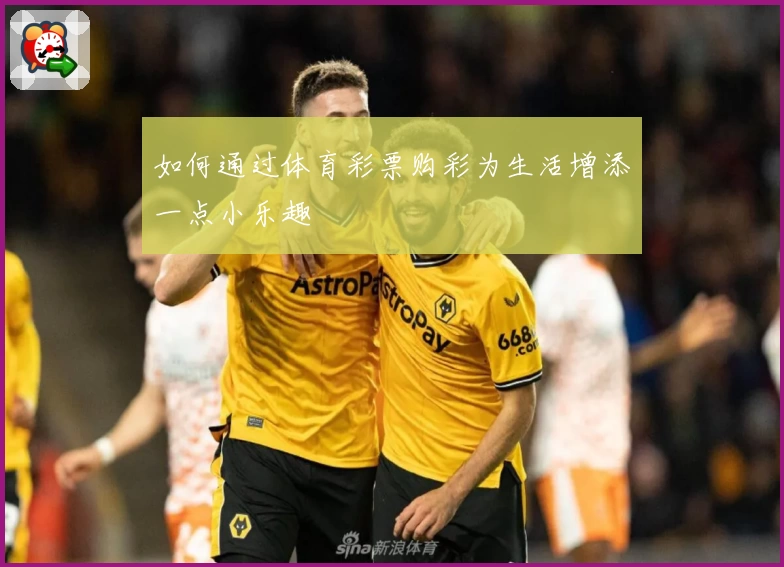 如何通过体育彩票购彩为生活增添一点小乐趣